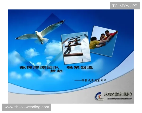 鹰伯尔模块化健身系统:自由组合训练方案 鹰伯尔模块化健身系统:自由组合训练方案